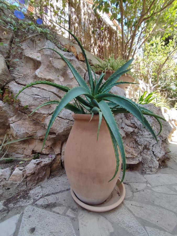 Les Galets Hotel Et B&B Bandol Exterior foto